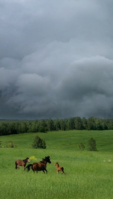 photo (1).jpg