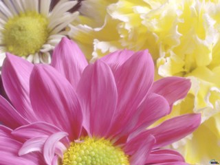 3d_1442.jpg