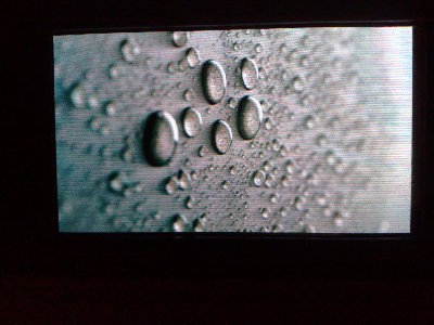29062011998.jpg